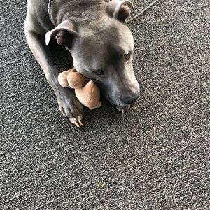 Meet your Posher, Suzanne